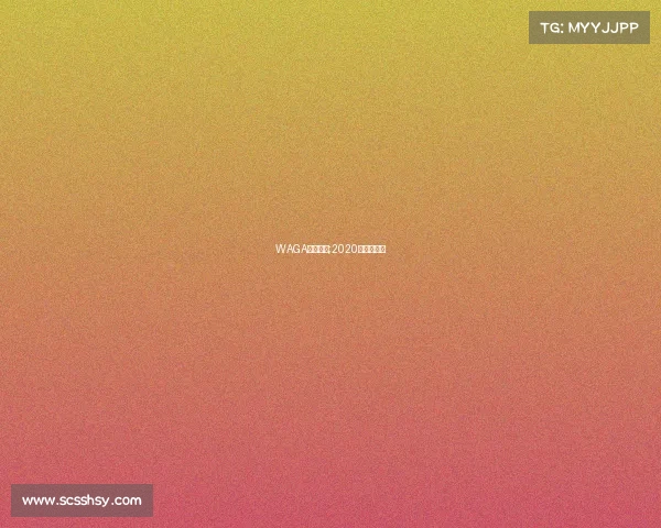 WAGA水上赛事;2020年水上比赛 WAGA水上赛事;2020年水上比赛