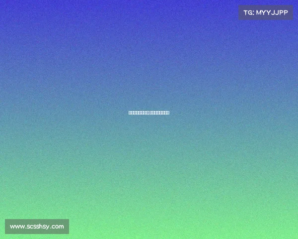 上海国际赛事服务;上海国际竞赛培训