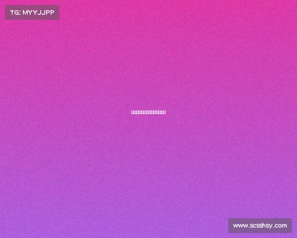 介绍赛事筹备情况和比赛筹备会