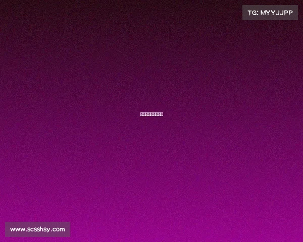 星途之星总决赛名单