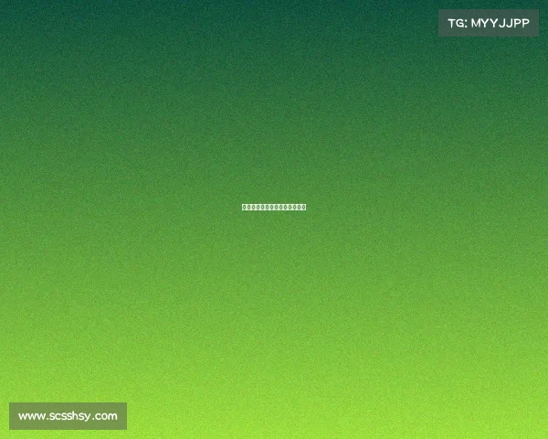 搏击赛事威震武林视频在线观看