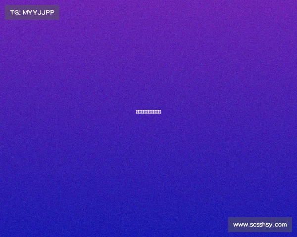 格斗赛事的精神是什么